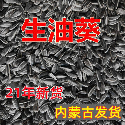 生黑珍珠小瓜子葵花子油葵籽鹦鹉鸟食仓鼠零食鸟粮鸽粮5斤包邮 虎窝淘