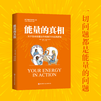 能量的真相  关于生命能量运作和提升的底层逻辑   身弱群体的精气神 提升实操指南 心理健康书籍  卡比尔·贾菲 著 高敏感