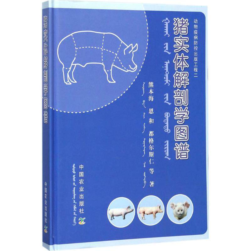 猪实体解剖学图谱 猪躯体部位被皮系统消化系统呼吸系统心血管系统泌尿系统神经系统母禽公禽生殖系统内分泌系统解剖书籍