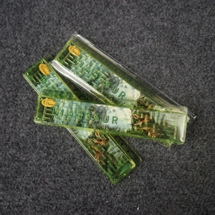 EA2卡通恐龙迷宫直尺绘图尺子学生文具3D迷宫15cm