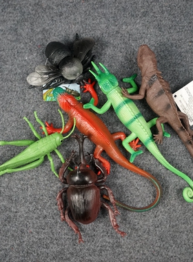 JA1仿真动物儿童科普昆虫小动物蜥蜴变色龙甲壳虫