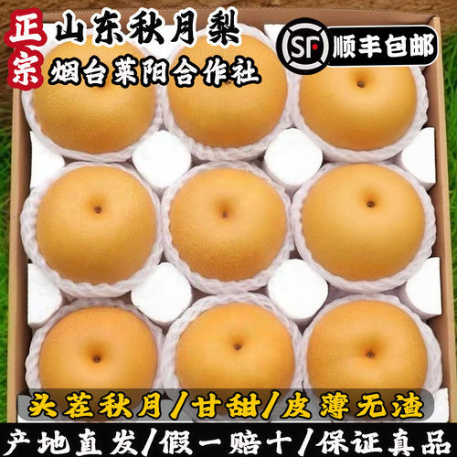 【官网推荐】正宗头茬莱阳秋月梨