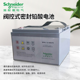 100CFR 12V100AH65AH80AH150AH200AH M2AL APC施耐德电池