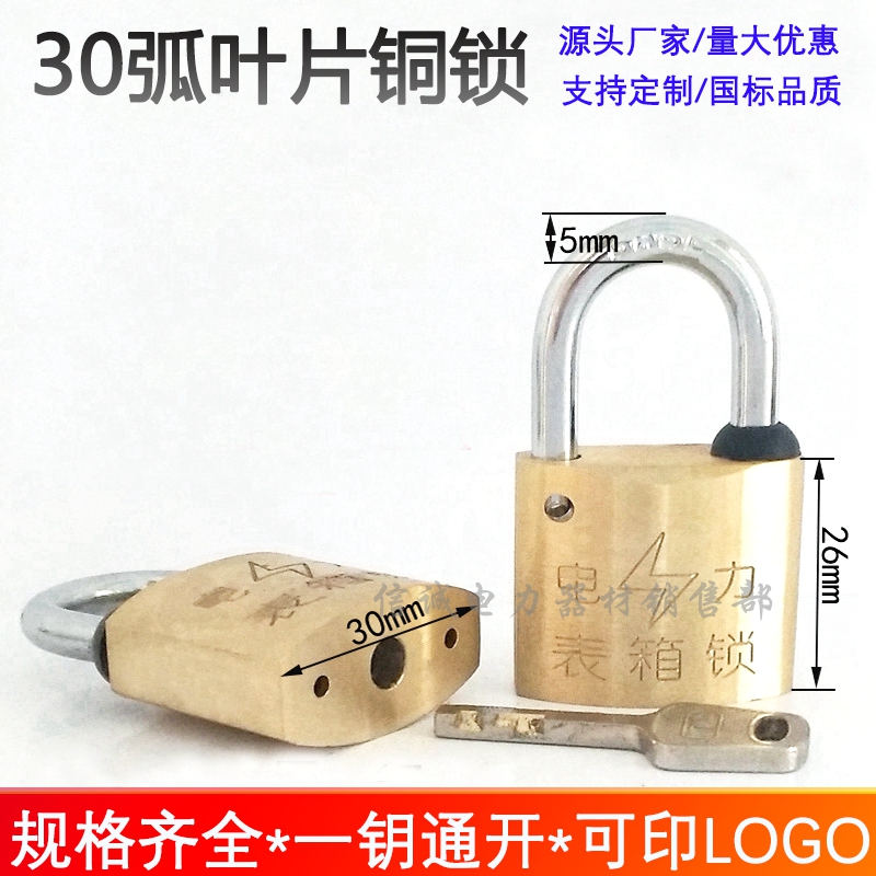 国网电表箱锁30mm弧叶片铜锁