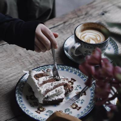 深盘陶瓷波兰手绘家用小棕熊
