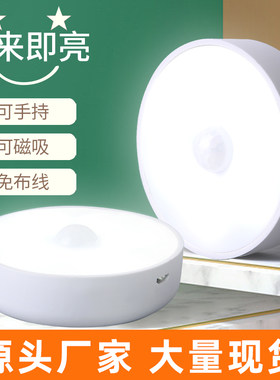 顶者LED智能人体感应灯