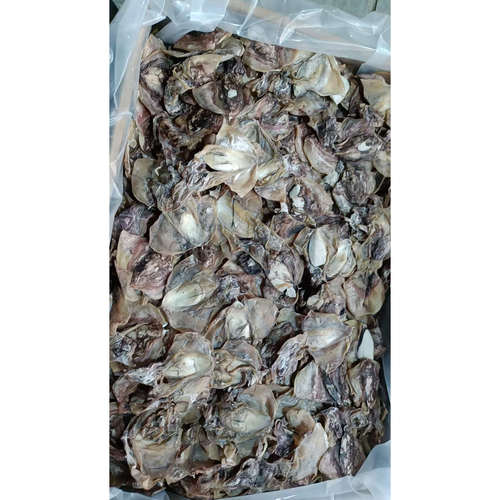 农产品新晒东海半淡晒墨鱼干干货淡干目鱼干乌贼海鲜干货海产品