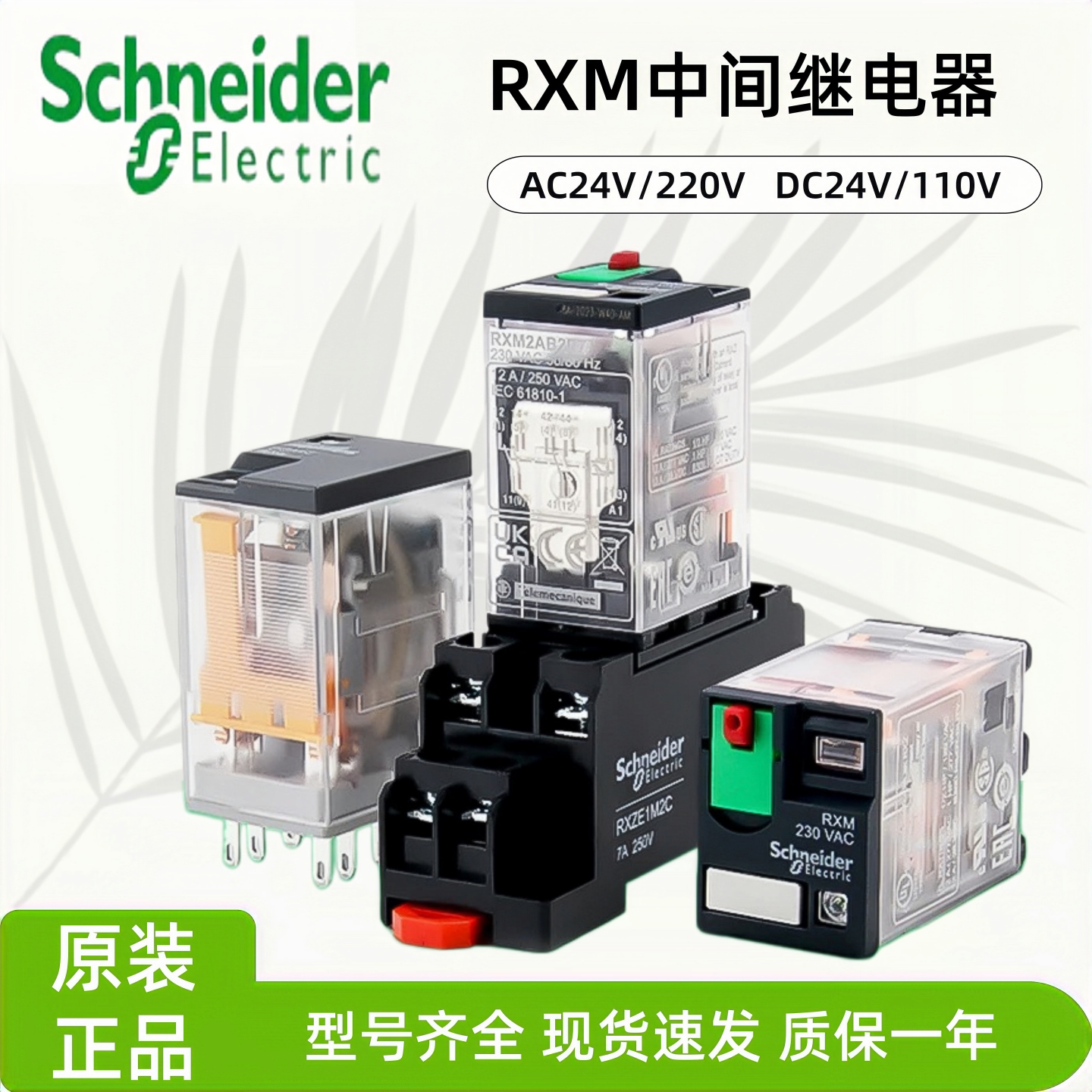 施耐德中间继电器RXM2AB2BD/2AB2P7/4AB2P7 DC24VAC230V8脚14脚