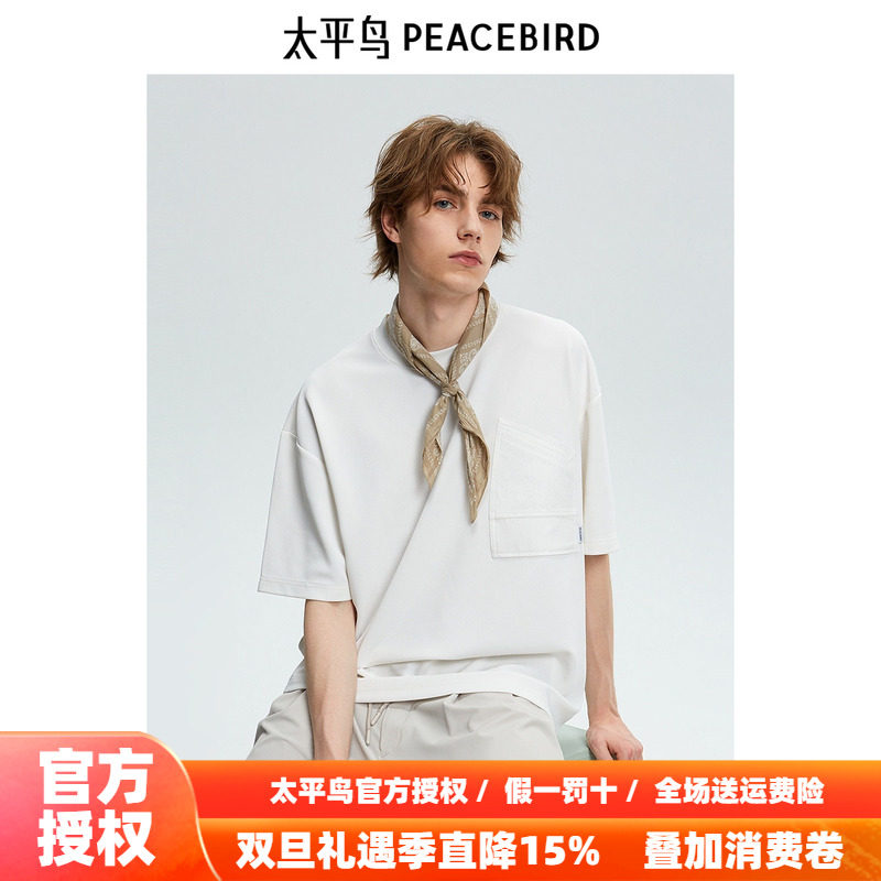 太平鸟男装 T恤男秋季新款短袖体恤B1CNE2C24