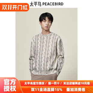 【商场同款】太平鸟男装绞花图案毛衣26秋新圆领毛线衫B1EBE3315