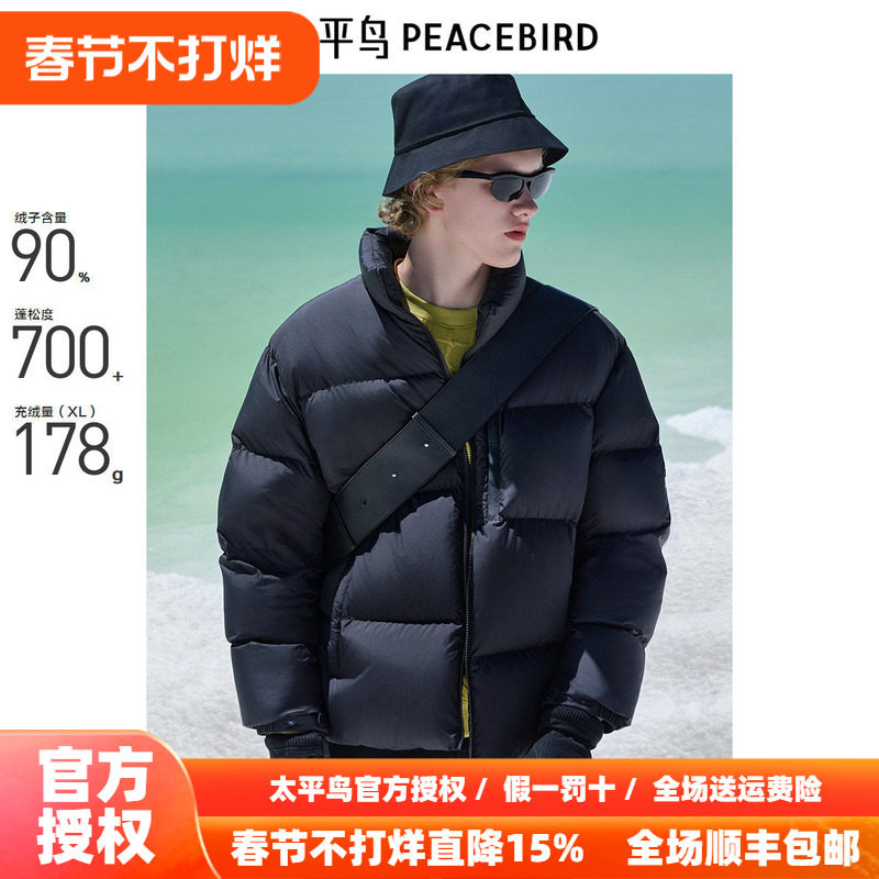 【商场同款】太平鸟男装 2025年冬季黑色鹅绒羽绒服B1ACE4447