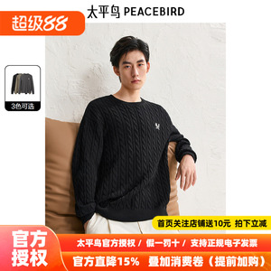 太平鸟男装 休闲毛衣新款慵懒毛衫肌理绞花男休闲毛衫 24冬季热卖