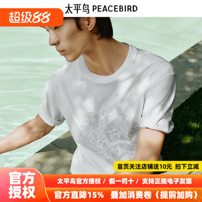 【苏绣联名】太平鸟男装T恤26夏季新款重磅宽松短袖潮 B1CNF3121
