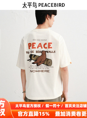 【Jonas联名】太平鸟男装 重磅刺绣宽松白色短袖T恤男B2CNF3201