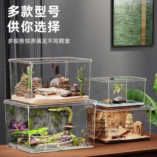 高透PET爬虫饲养箱加厚透