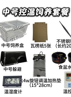 豹纹守宫饲养套餐肥尾蜘蛛蝎子蜥蜴爬宠恒温加热垫饲养盒全套设备
