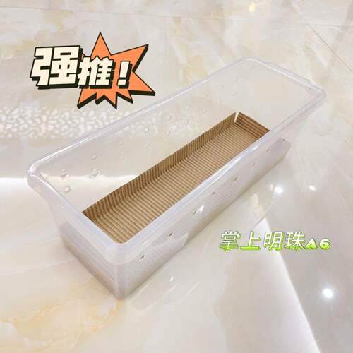 爬虫加厚瓦楞纸蛇豹纹守