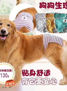 大狗生理裤大型金毛月