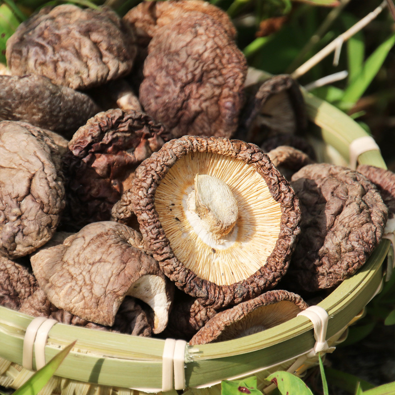 250g*2福建古田农家种植自然香菇干货无根金钱菇干蘑菇冬菇肉厚