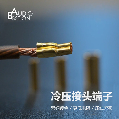 冷压端子AudioBastion