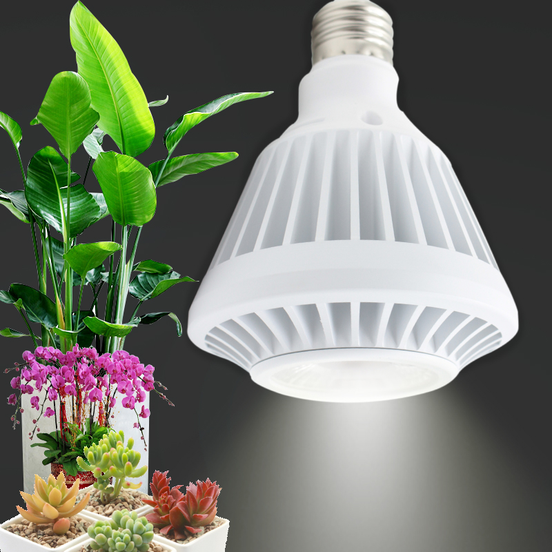 植物生长射灯螺口全光谱自然白光