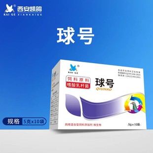 凯鸽球号种鸽信鸽鸽子用品包邮