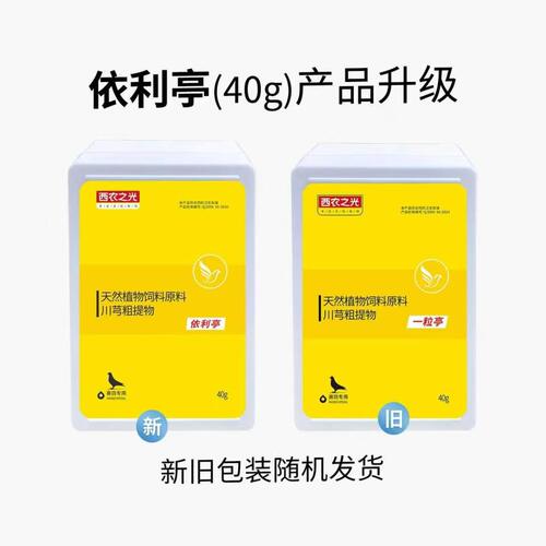 西农之光依利亭鸽子鹦鹉正品
