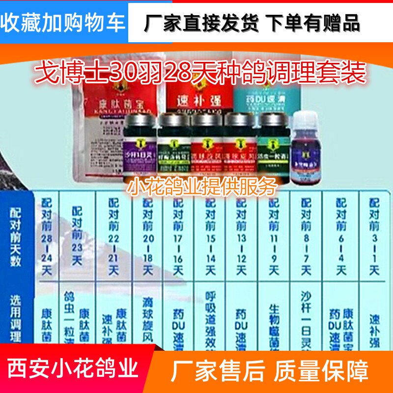 戈博士种鸽调理30羽28天黄金全套种赛鸽整理套装包邮厂家发货正品