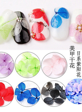 指甲贴真干花饰品紫阳花朵花瓣
