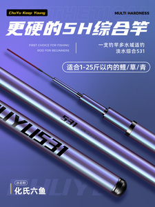汉鼎碳素鱼竿手杆超轻超硬28调19调化氏六鱼台钓竿轻量大物鲢鳙钓