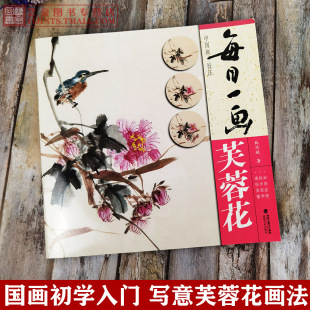 福建美术出版 林兴斌绘国画写意花鸟画法教程花卉画步骤教学国画初学技法入门书籍 社 中国画技法 每日一画芙蓉花