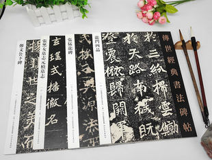 北魏墓志铭4本 张猛龙碑+张黑女墓志元桢墓志+龙门四品+郑文公下碑 传世经典书法碑帖 原碑原帖书法毛笔楷书 河北教育出版社