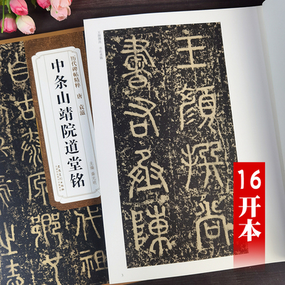 袁滋中条山靖院道堂铭帖 历代碑帖精粹薛元明编篆书毛笔字帖简体释文篆书字帖原碑拓印书法临摹字帖安徽美术出版社