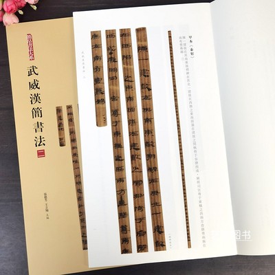 武威汉简书法二原大放大字帖