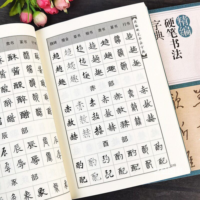 精编硬笔书法字典 部首索引行篆隶草楷书瘦金体魏碑楷书硬笔书法字典直查查字字典工具书硬笔书法作品参考书籍江西美术出版社