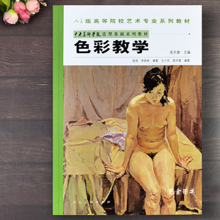 正版包邮 色彩教学 高天雄编著 人民美术出版社中央美术学院造型基础系列教材人美版高等院校艺术专业系列教材色彩风景人物静物