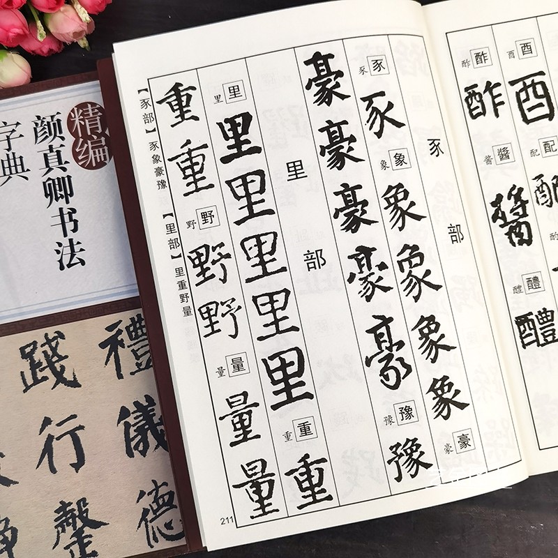 精编赵孟頫书法字典 部首检索常用字书法字典马守国编赵孟俯行书楷书