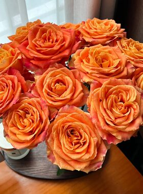 【元宝优选 欢乐颂单头玫瑰】云南直发鲜花水养鲜切花