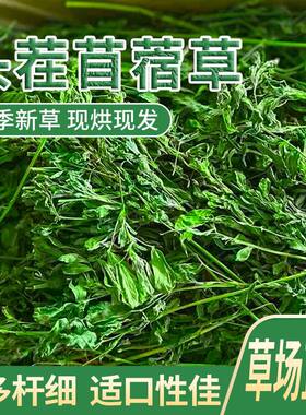 苜蓿草干草幼兔粮食饲料