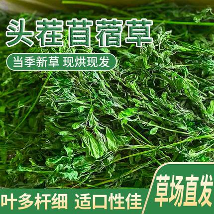苜蓿草干草幼兔粮食荷兰猪龙猫干草饲料兔粮毛重1000克包邮苜宿草