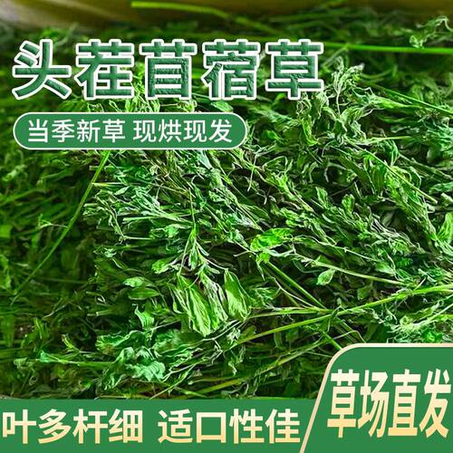 苜蓿草干草幼兔粮食饲料