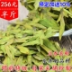 预售绿茶龙井2026新茶明前特级春茶杭州豆香龙井茶茶农直销250克