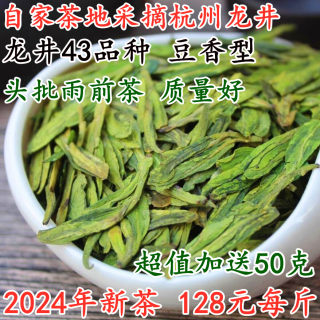 现货龙井2024新茶雨前龙井茶叶高山绿茶500克豆香口粮龙井43品种