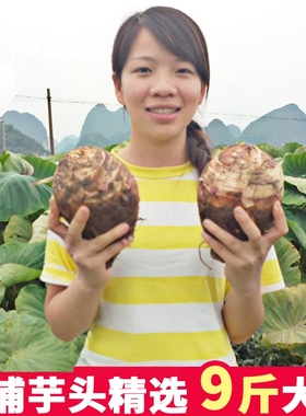 9斤广西荔浦芋头新鲜现挖大香芋槟榔芋紫藤毛芋农家当季蔬菜包邮