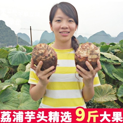 9斤广西荔浦芋头新鲜现挖大香芋槟榔芋紫藤毛芋农家当季蔬菜包邮