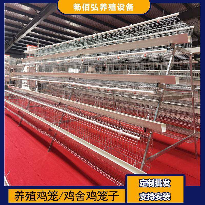 4层5门阶梯蛋鸡笼养殖工厂阶梯型A型鸡笼鸡窝热镀锌可供外贸,畜牧/养殖物资,特种养殖设备,淘宝优惠券,粉丝福利购,淘宝优惠卷