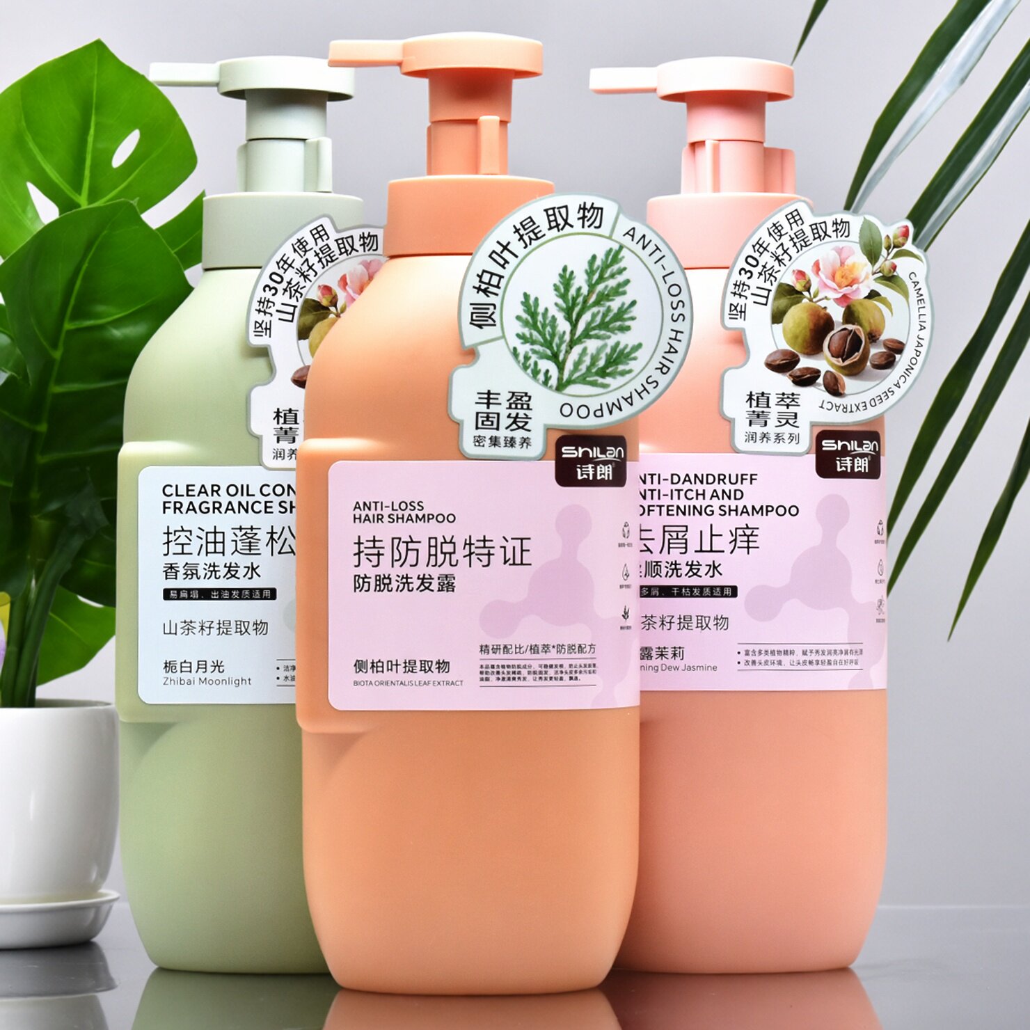 诗朗防脱洗发露侧柏叶提取控油蓬松去屑止痒洗发水清爽柔顺洗头膏