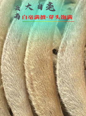 白毫银针2023年大白毫云南白茶 花香 蜜香 毫香 80克