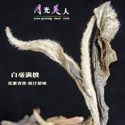 云南白茶 【月光美人 】花蜜香浓 2023年头春古树白茶 牡丹王100g