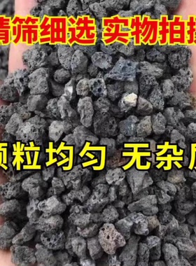 微酸矿物岩颗粒土养花专用小石子兰花铺面天然黑色火山石酸性盐土